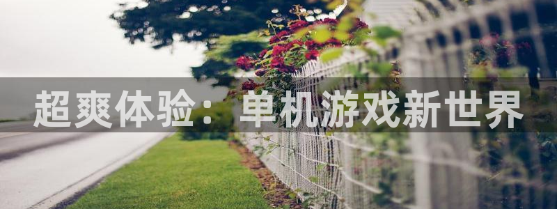 高德娱乐什么意思