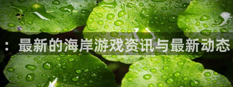 高德娱乐平台登录入口：：最新的海岸游戏资讯与最新动态