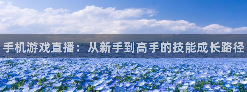 高德娱乐官方平台：手机游戏直播：从新手到高手的技能成长路径
