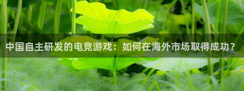 高德娱乐网址注册：中国自主研发的电竞游戏：如何在海外市场取得