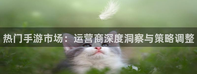 高德娱乐注册开户：热门手游市场：运营商深度洞察与策略调整