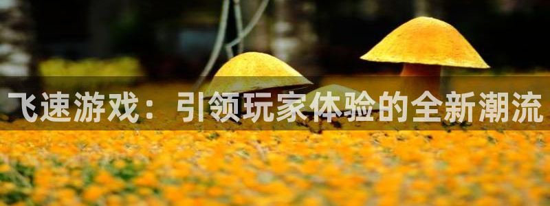 高德娱乐注册测速：飞速游戏：引领玩家体验的全新潮流