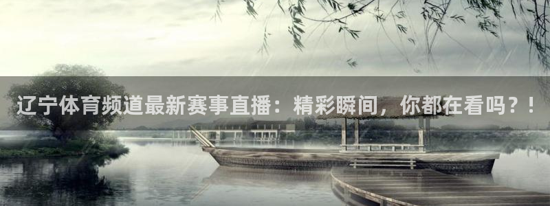 9255tv直播nba在线观看：辽宁体育频道最新赛事直播：精彩瞬间，你都在看吗？!