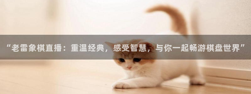 9255tv直播无插件nba：“老雷象棋直播：重温经典，感受智慧，与你一起畅游棋盘世界”