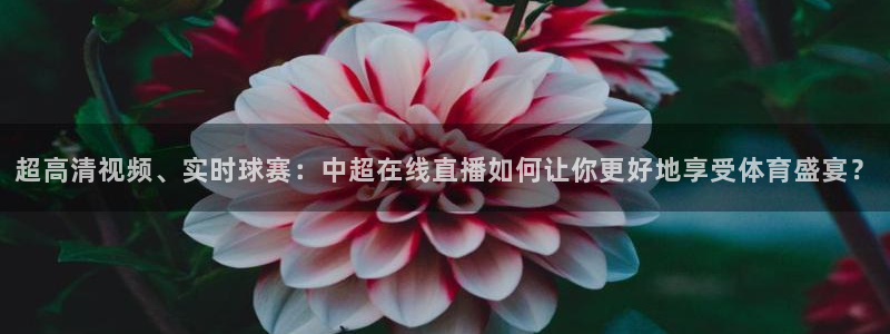 9255tv直播无插件nba：超高清视频、实时球赛：中超在线直播如何让你更好地享受体育盛宴？