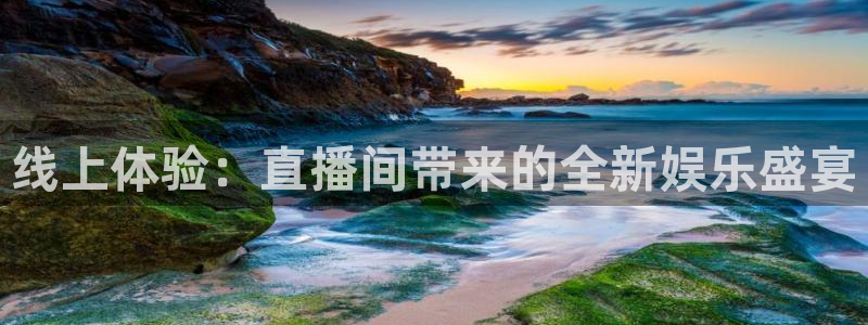 9255tv直播nba在线直播：线上体验：直播间带来的全新娱乐盛宴