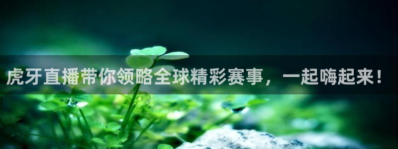 9255tv直播nba在线观看：虎牙直播带你领略全球精彩赛事，一起嗨起来！