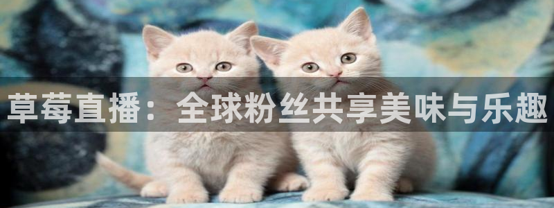 9255tv直播nba在线观看：草莓直播：全球粉丝共享美味与乐趣