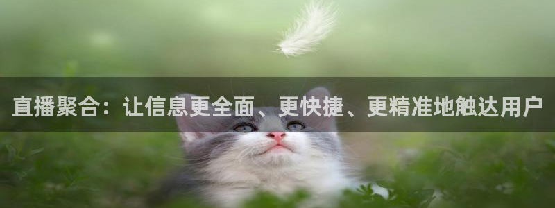 9255tv直播nba在线观看：直播聚合：让信息更全面、更快捷、更精准地触达用户